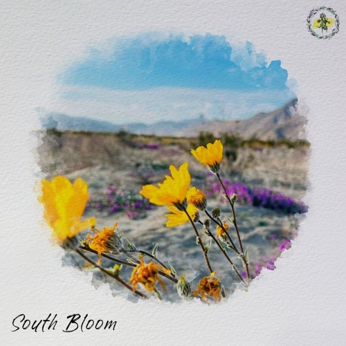 South Bloom - Let Me In [FRSTRP15]
